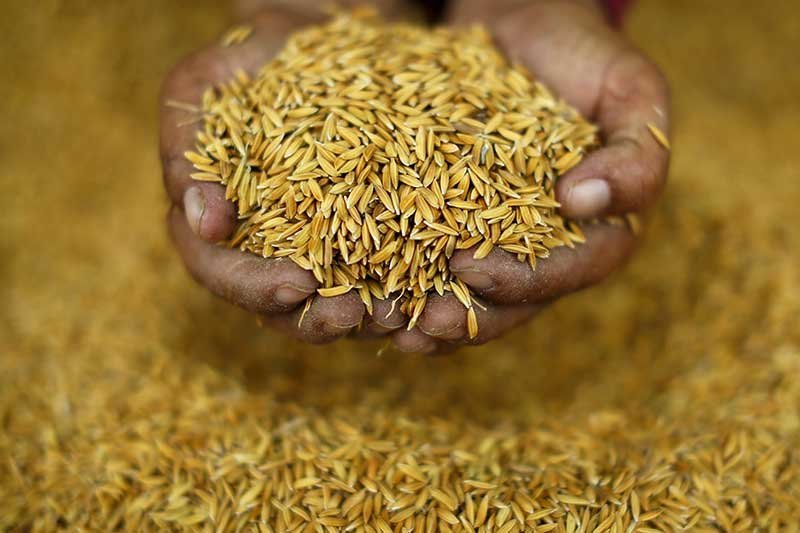 2019-07-10T104016Z_1_LYNXNPEF690NL_RTROPTP_4_THAILAND-RICE.JPG.63d00c1cb9c81d4c259d5935c6ace826.jpg