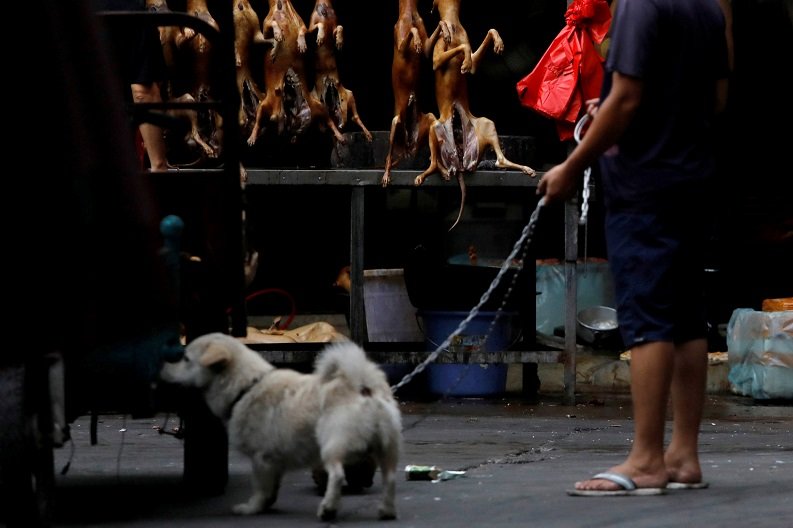 2020-04-09T123527Z_2_LYNXNPEG38168_RTROPTP_4_HEALTH-CORONAVIRUS-CHINA-DOGS.JPG