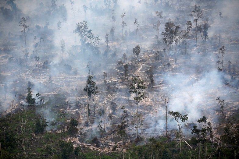 2020-04-22T092436Z_1_LYNXNPEG3L0OK_RTROPTP_4_SOUTHEASTASIA-HAZE.JPG