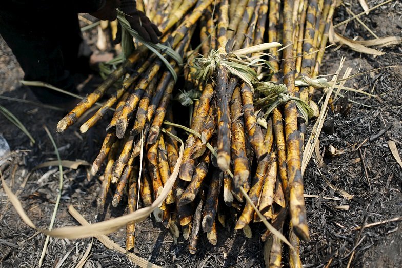 2020-04-22T093348Z_1_LYNXNPEG3L0PC_RTROPTP_4_THAILAND-SUGAR.JPG