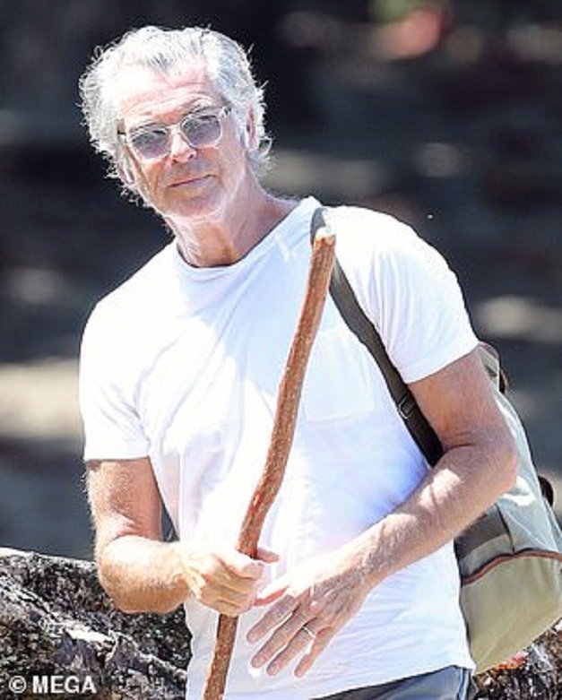 27451348-8239783-Casual_The_former_James_Bond_actor_went_for_a_laid_back_look_for-m-18_1587460789959.jpg