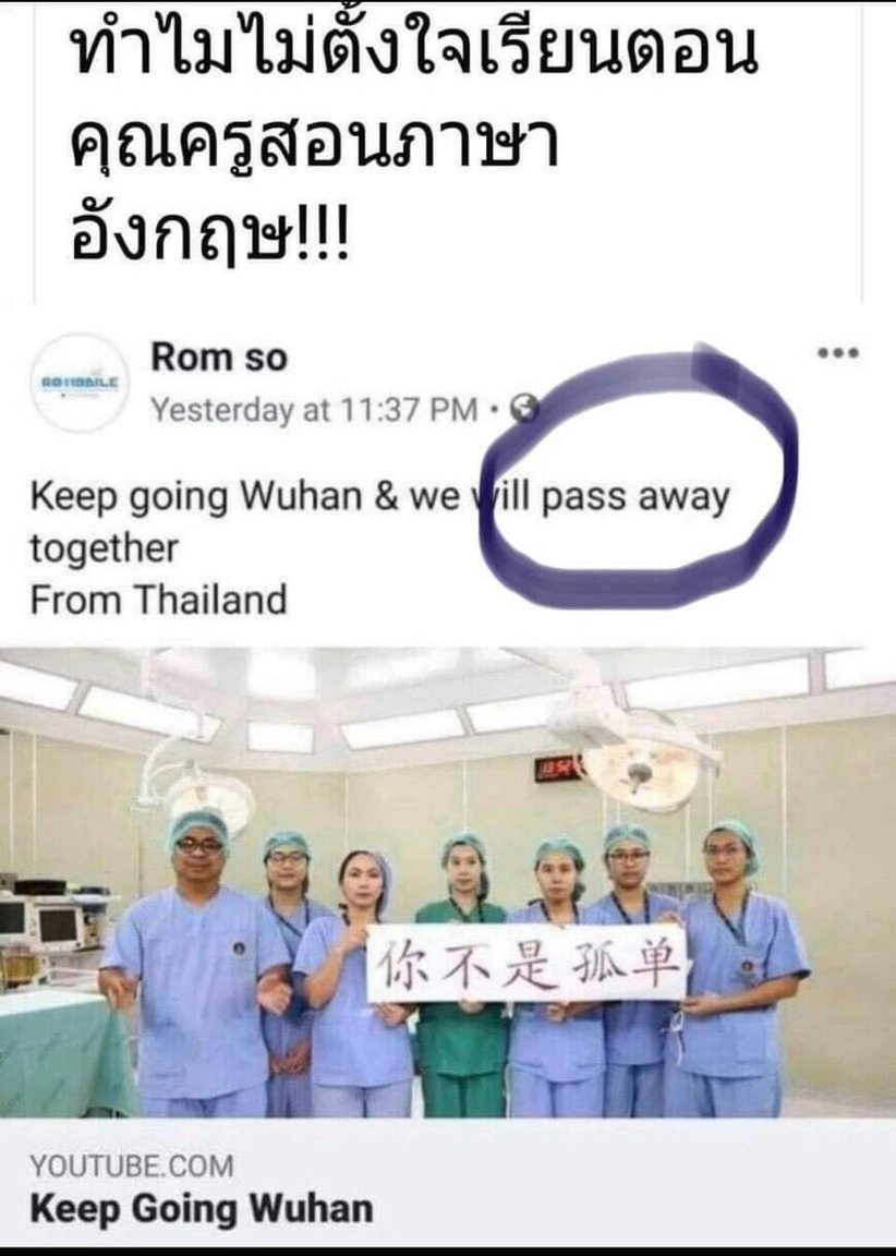 506313.jpg