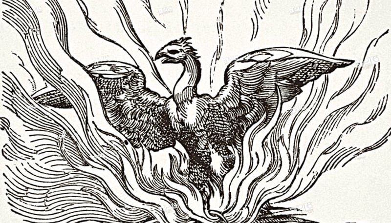 5ce8a5f143d7c.jpg.1ff319a07c571bee91c324dc1def6129.jpg