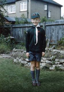 British_Wolf_Cub_1960.jpg.a4784b6182d4ebc6bd33b525f58d75f9.jpg