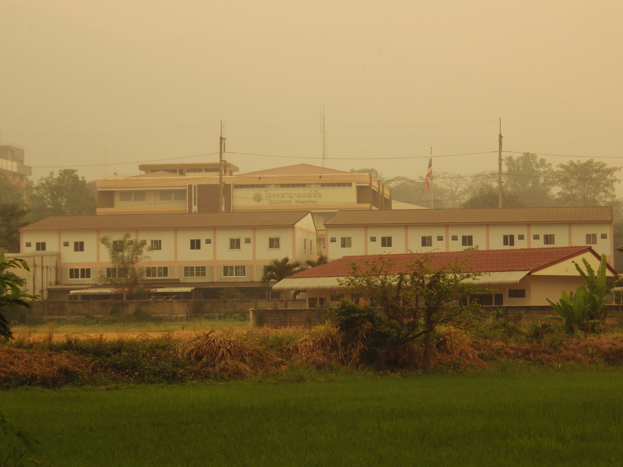IMGP1482.JPG