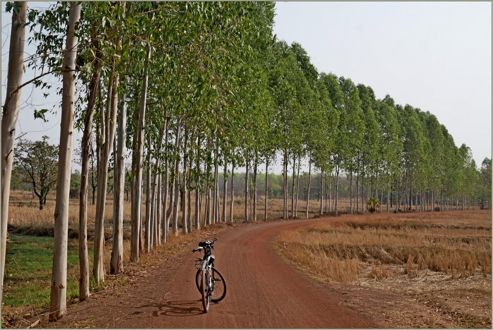 P1090022_red_roads.thumb.JPG.4f326ecca805a80b94a1ae89ea71c63c.JPG