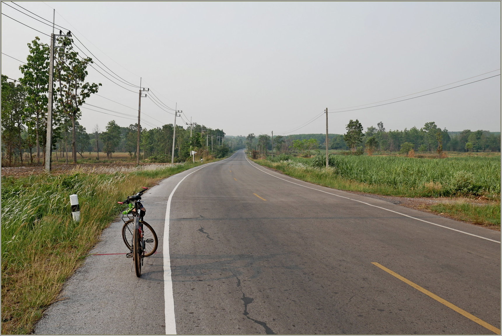 P1090177_road_4039.thumb.JPG.943ad150d7cee9baf995dd3803ea7d32.JPG