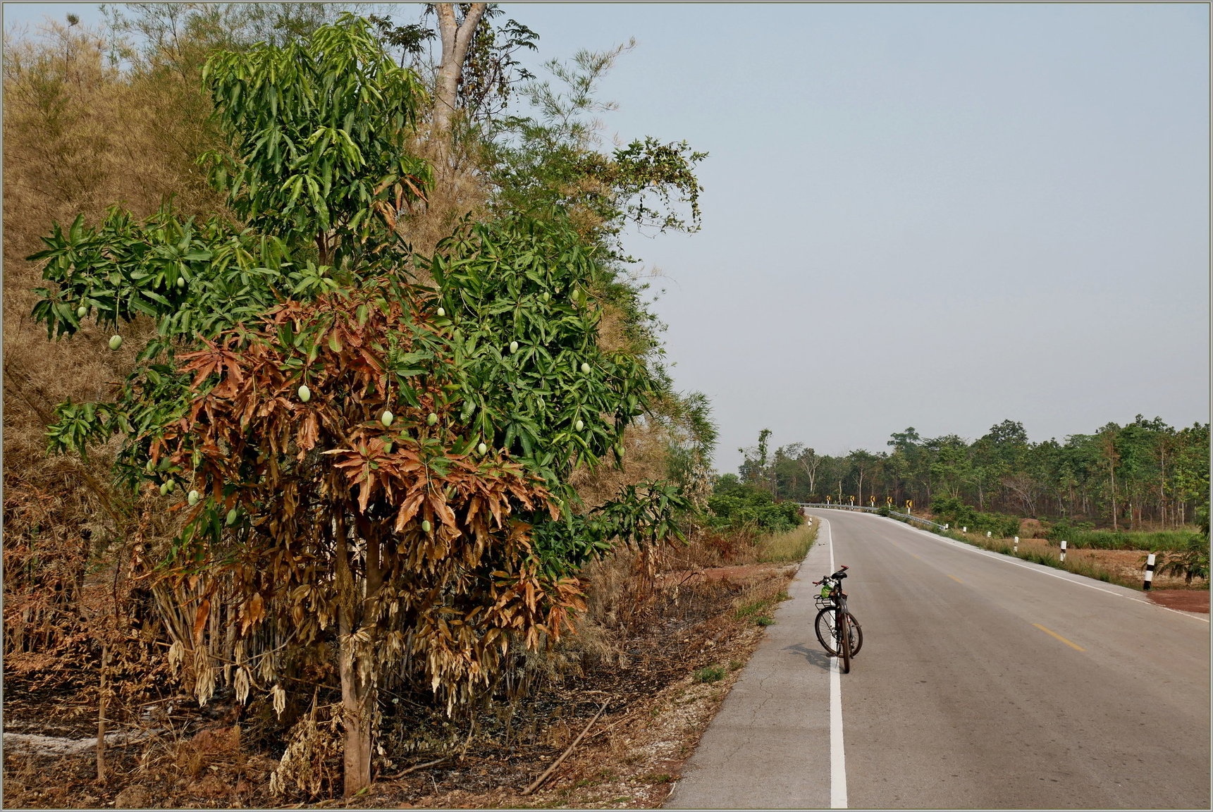 P1090178_road_2040.thumb.JPG.d724a564e6701fe7b7a951dae8bfb8bb.JPG