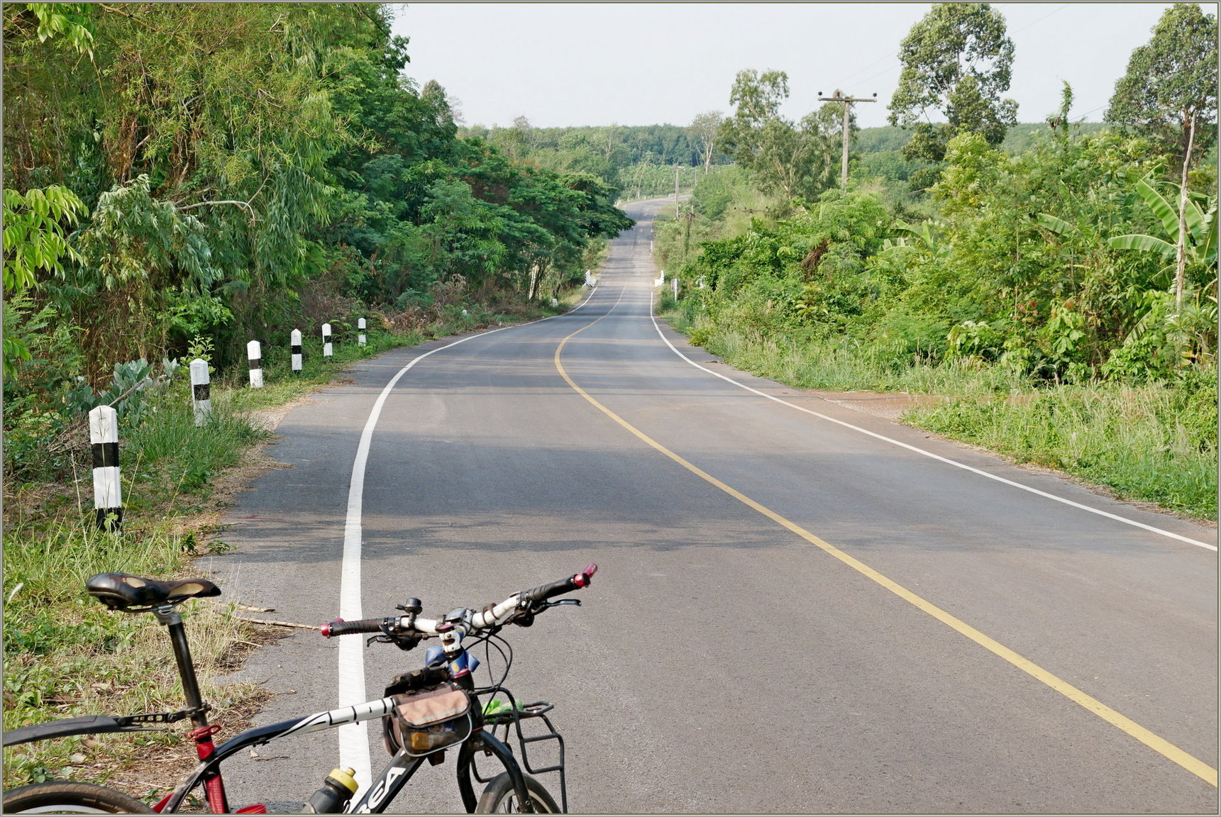 P1090205_road_2004.thumb.JPG.13ce437f9c85b46ae17597c121d4ddba.JPG