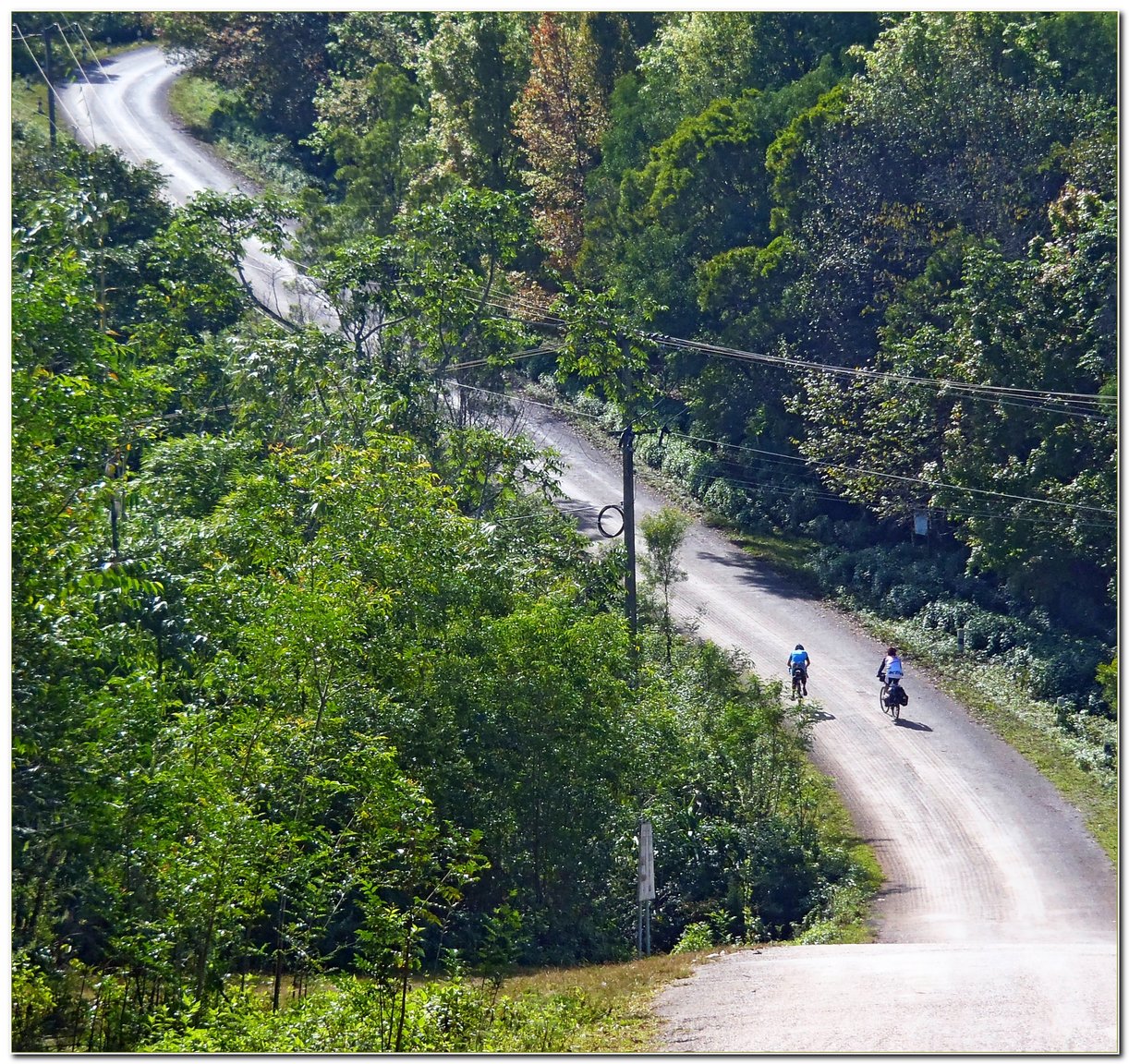 PB113486_Doi_Angkhang_rd_1249.thumb.JPG.7e6b2b9fc17a179c4d650388b246742d.JPG