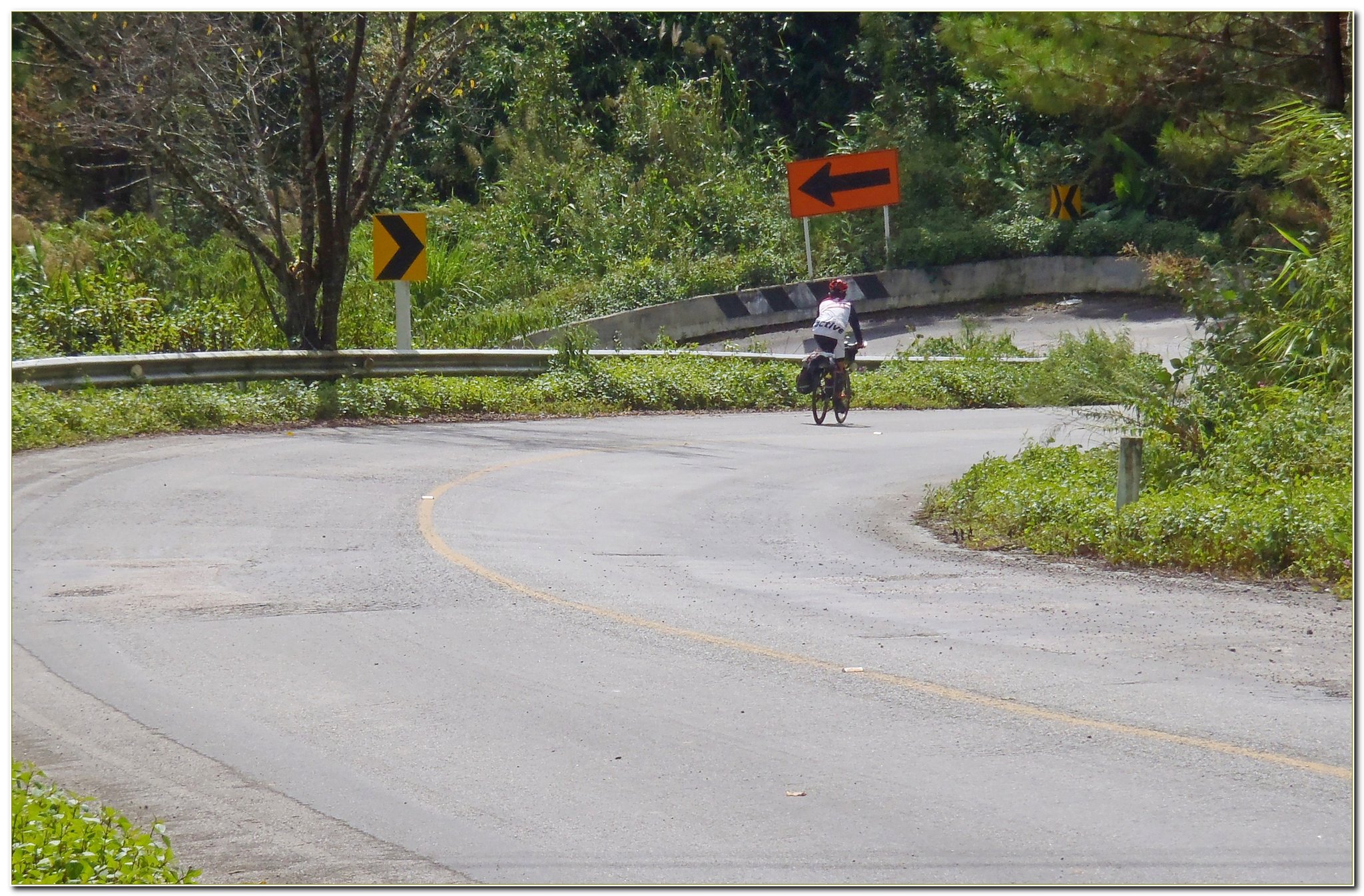 PB113490_Doi_Angkhang_rd_1249.thumb.JPG.46e2ebe85adc0bde2eb8dc9315fe730e.JPG
