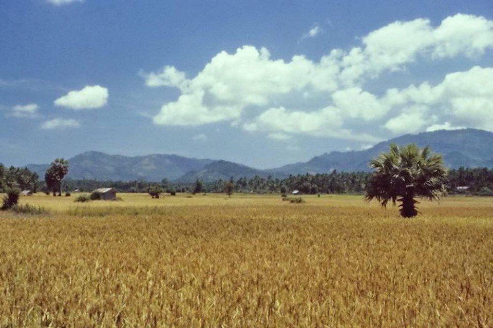 Samui-airport-before-it-was-built.jpg.5cb1f159d2a070b99b6ac28f82cb8633.jpg