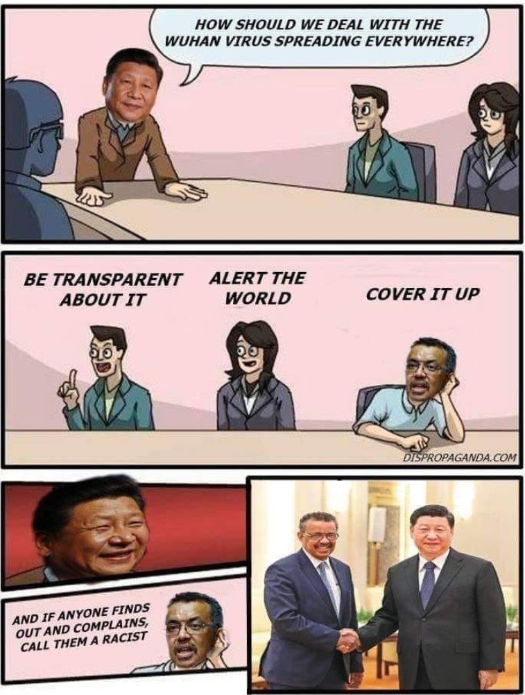 WHO_China_Covid_Solution.jpg.4556d451842e2565056b56e4d270ab48.jpg