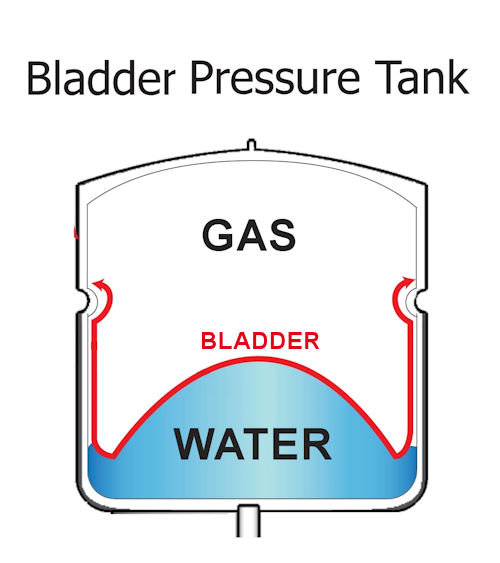 bladder.jpg.e86a22ba1e47ddfa709aa72e726c6a52.jpg