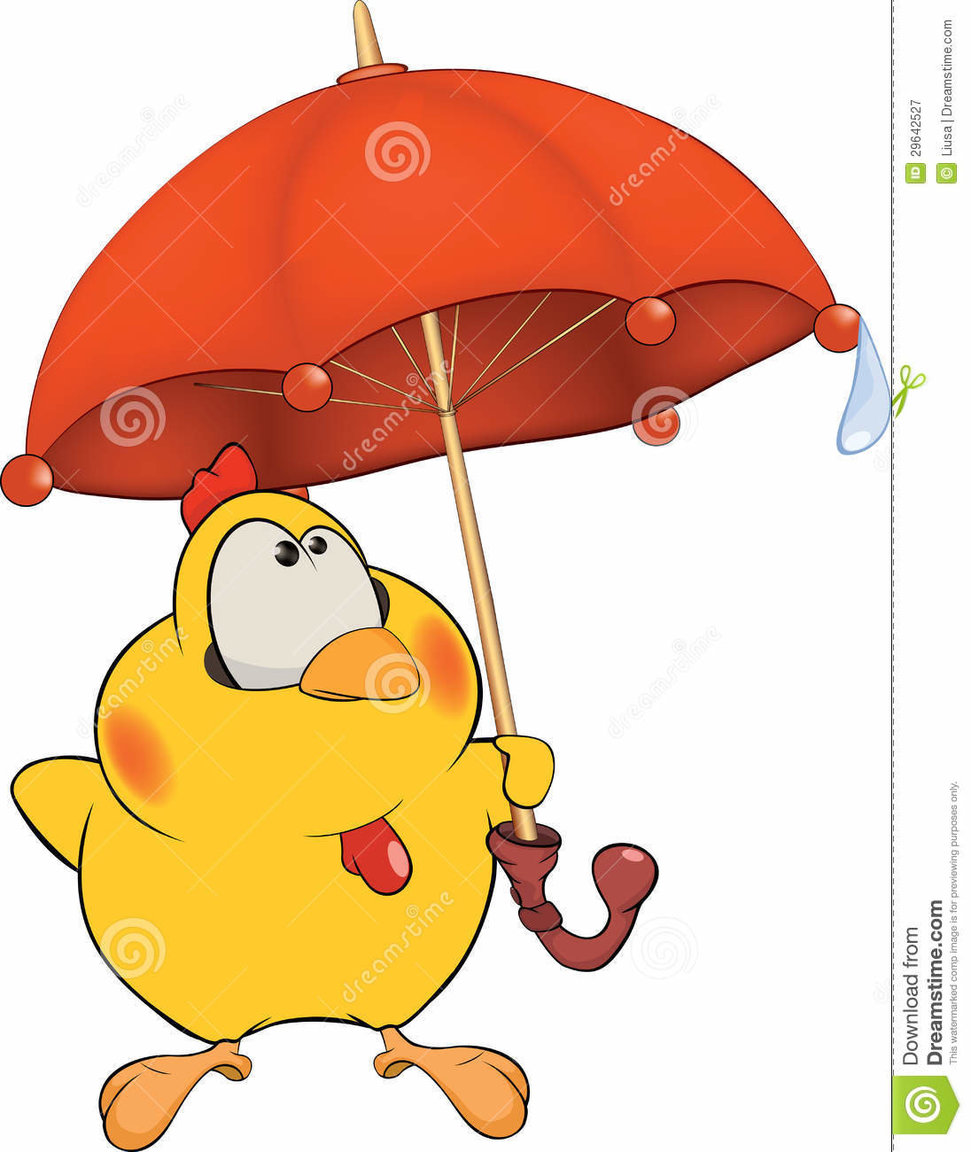 chicken-umbrella-cartoon-29642527.jpg