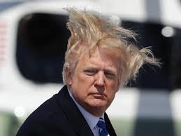 image.jpeg.72952f4844bf6665fb42700079bb3734.jpeg