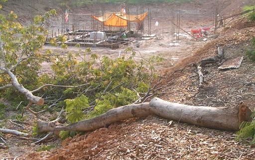logs.jpg.02e15c5922f72381c2b7dbf195182288.jpg