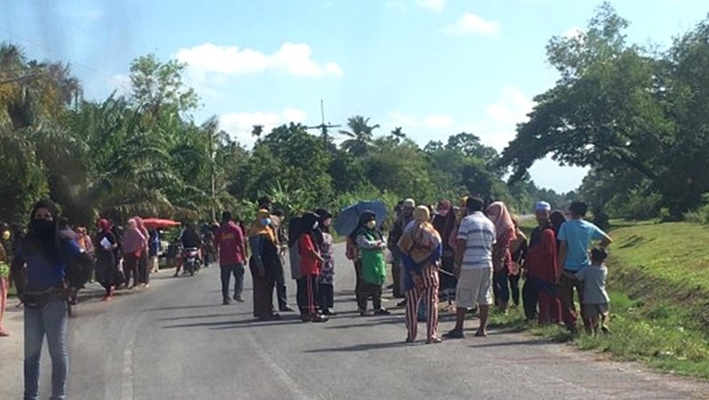 n1.jpg