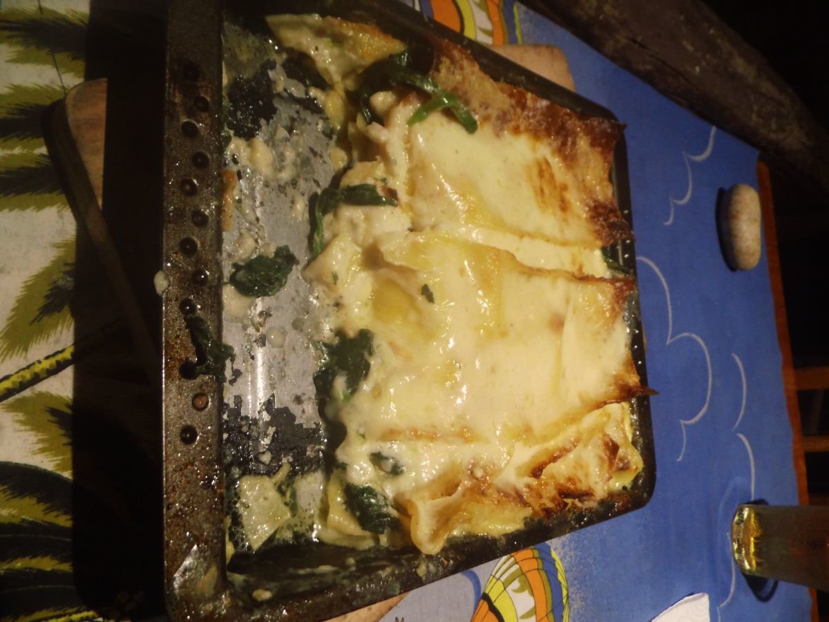 spinachlasagne.JPG.ad03b8fc45bdbe693ddecfa64259b8c7.JPG