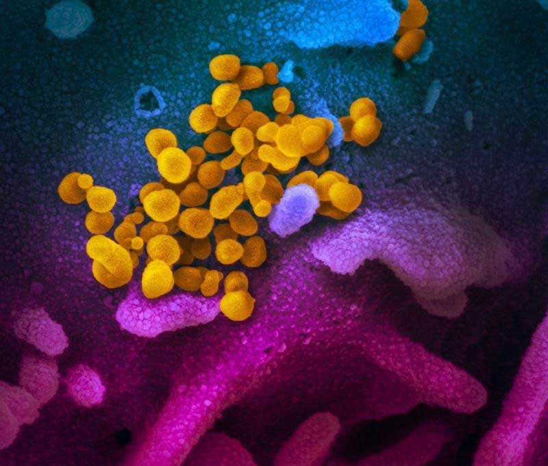 2020-05-07T211629Z_2_LYNXMPEG46243_RTROPTP_3_HEALTH-CORONAVIRUS-USA.JPG