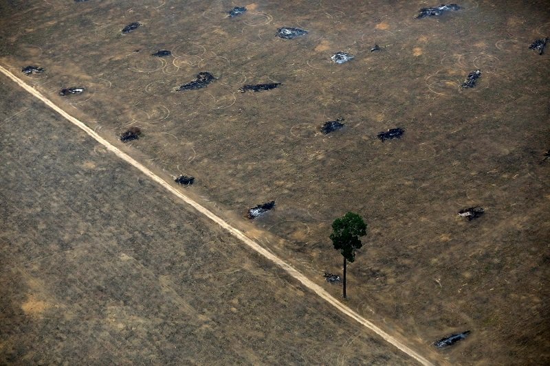 2020-05-08T133757Z_1_LYNXMPEG47187_RTROPTP_4_BRAZIL-ENVIRONMENT-WILDFIRES.JPG