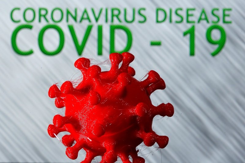 2020-05-08T170945Z_1_LYNXMPEG471I1_RTROPTP_4_HEALTH-CORONAVIRUS-WHO-PLANTS.JPG