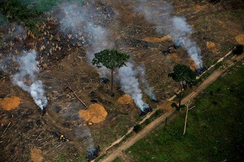 2020-05-19T231708Z_2_LYNXMPEG4I1WR_RTROPTP_4_BRAZIL-ENVIRONMENT-BOYCOTT.JPG
