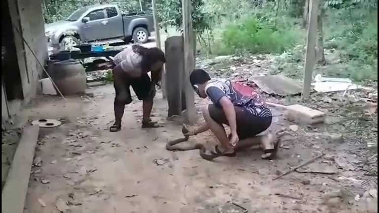 5pm1.jpg