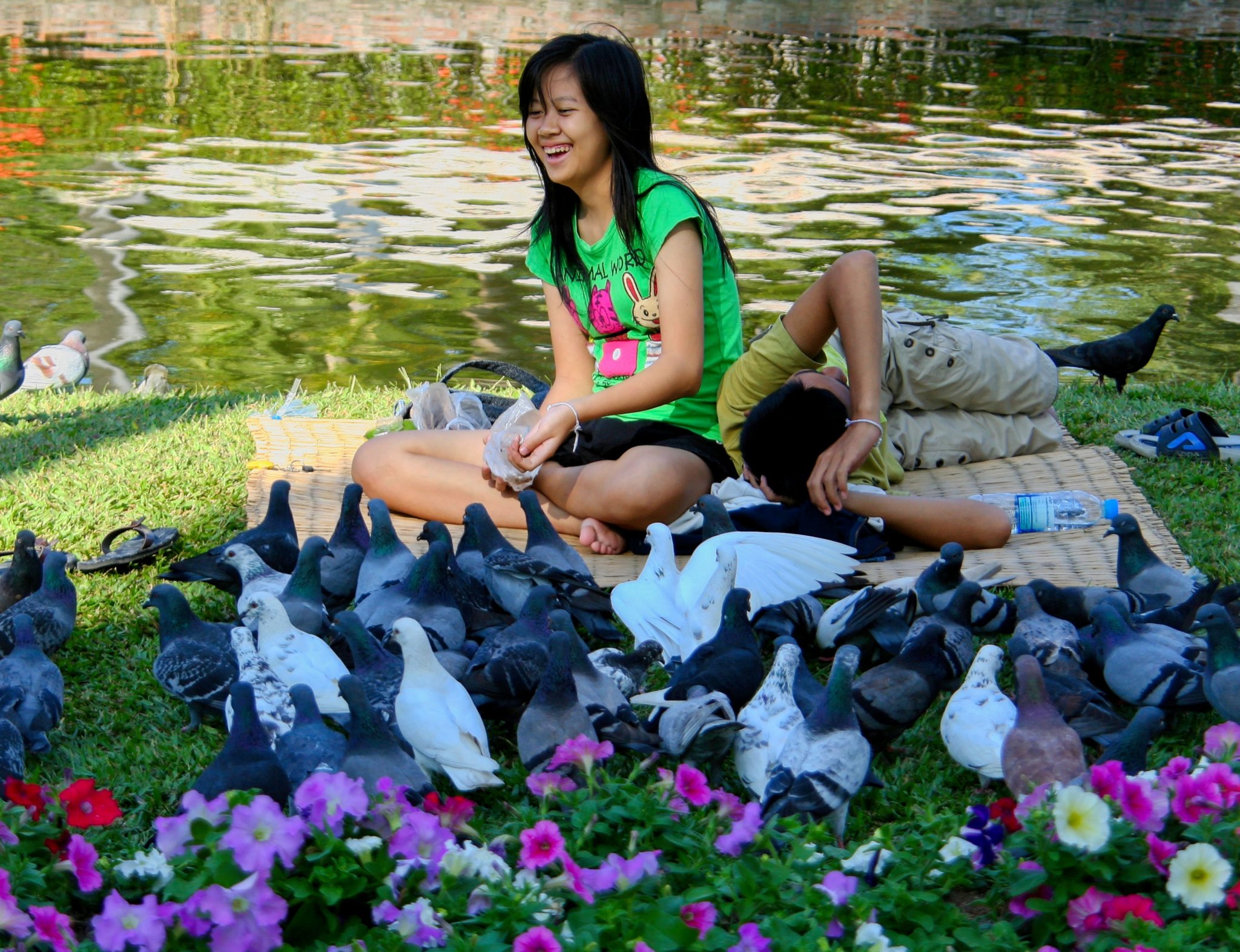 Feeding the Pigeons.jpg