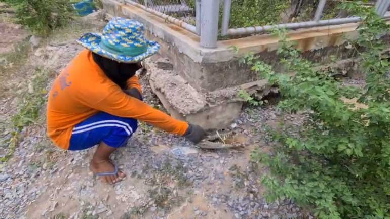 Myanmar man gets a croc-shock while taking a leak - Bangkok News ...