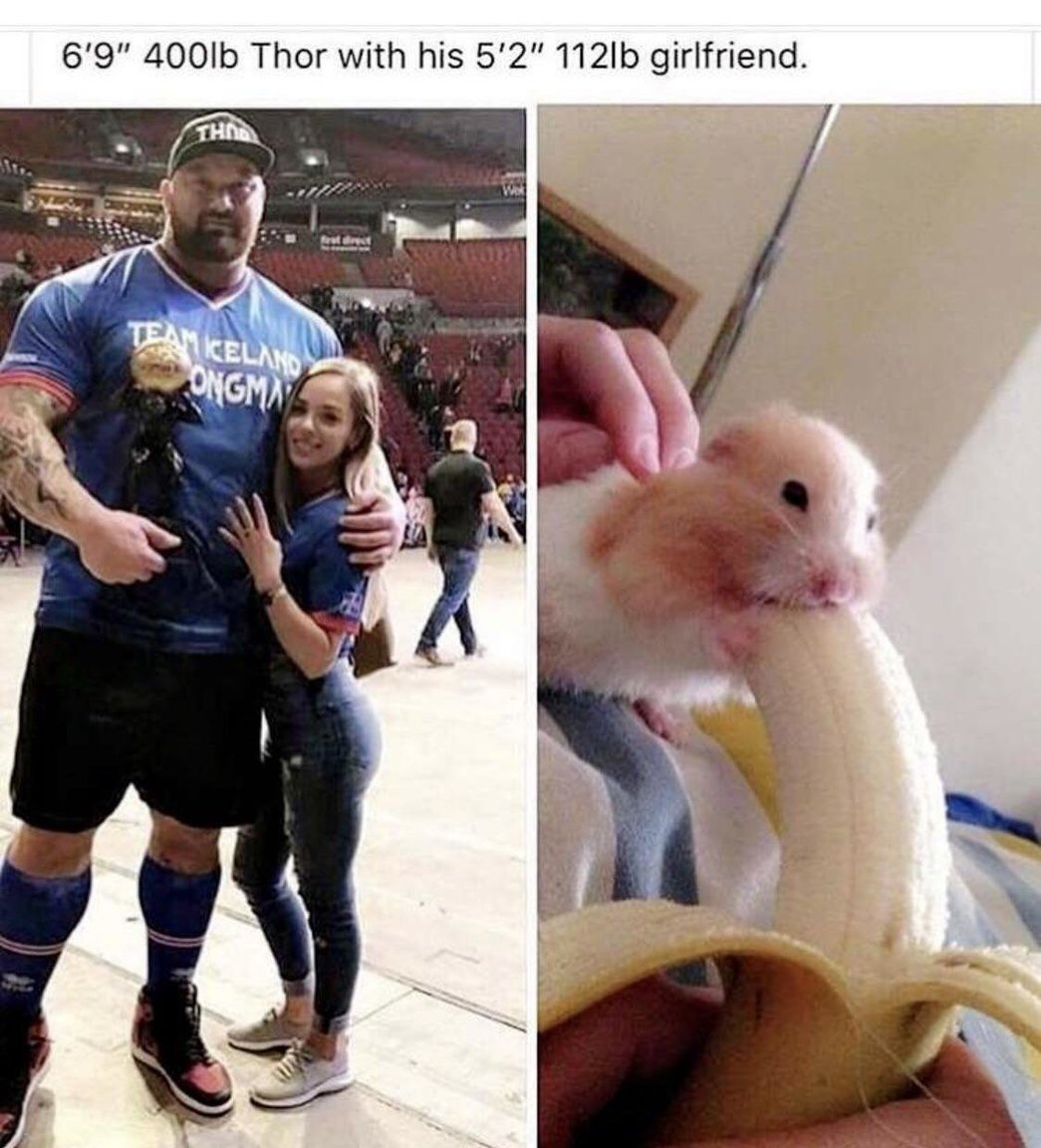 BigSmall.jpg