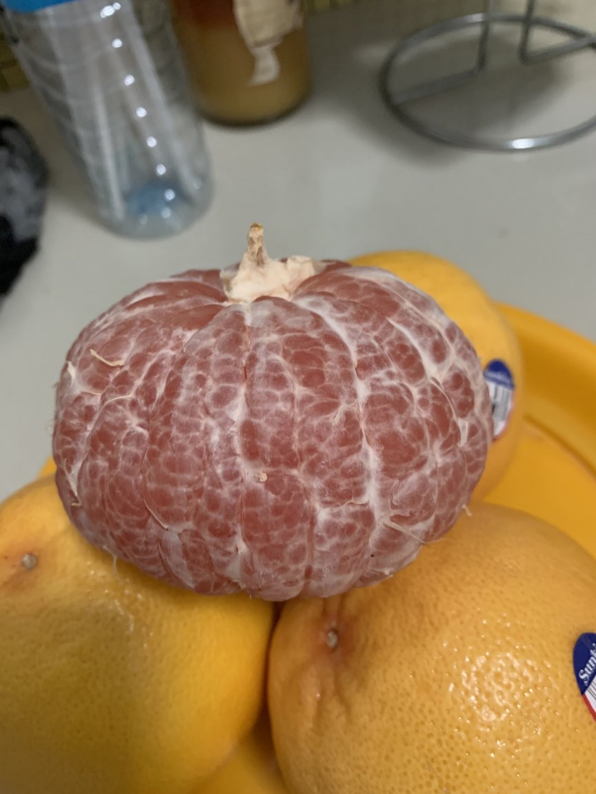C042213C-D432-4682-B2B5-3A9256BA2A6A.thumb.jpeg.4d7797433e2d23d33c826735eb26b6b3.jpeg