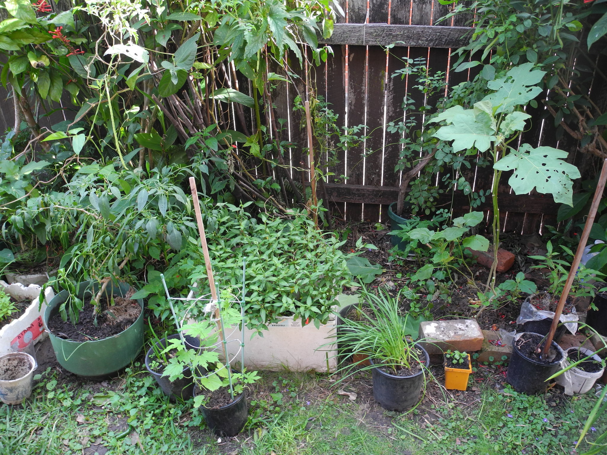 DSCN2075.JPG