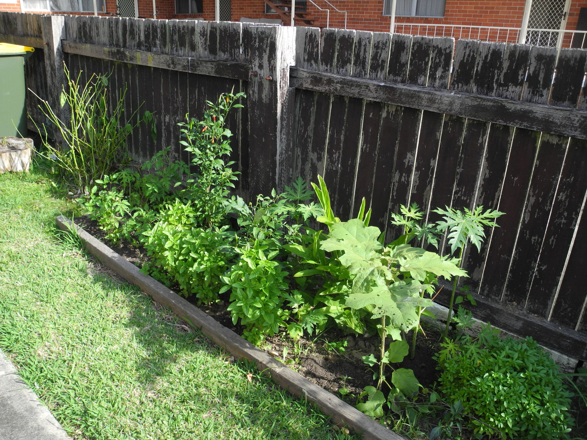 DSCN2077.JPG