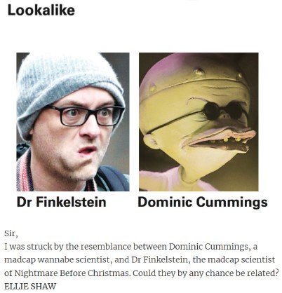 DominicFinkelstein.jpg.ae13474993fbcf5fd77b0db54d7de3c6.jpg