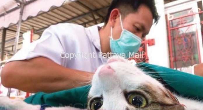N-May-15-03-Get-your-pets-ready-for-June-free-vaccines.jpg