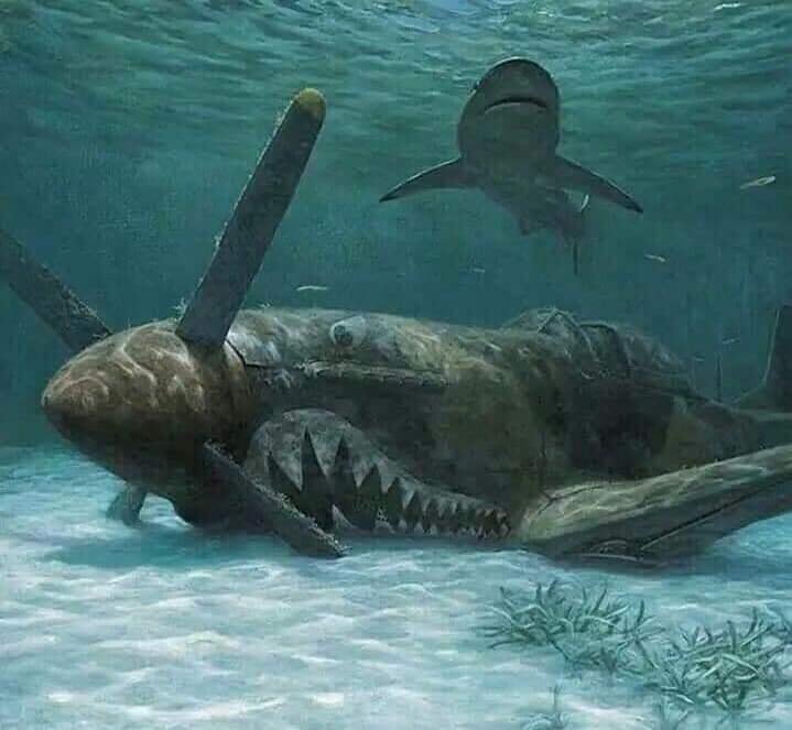 SpitSharkmouth.jpg.97ecfed402b2b7c43d23332bf68e79a6.jpg