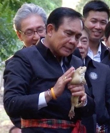 1287234389_prayuthfrog.jpg.586dedb855826ab489a8d80a4c8b4588.jpg