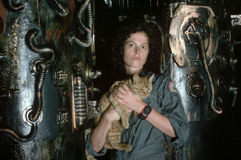 1536593959-ellen-ripley-in-alien-sigourney-weaver.jpg
