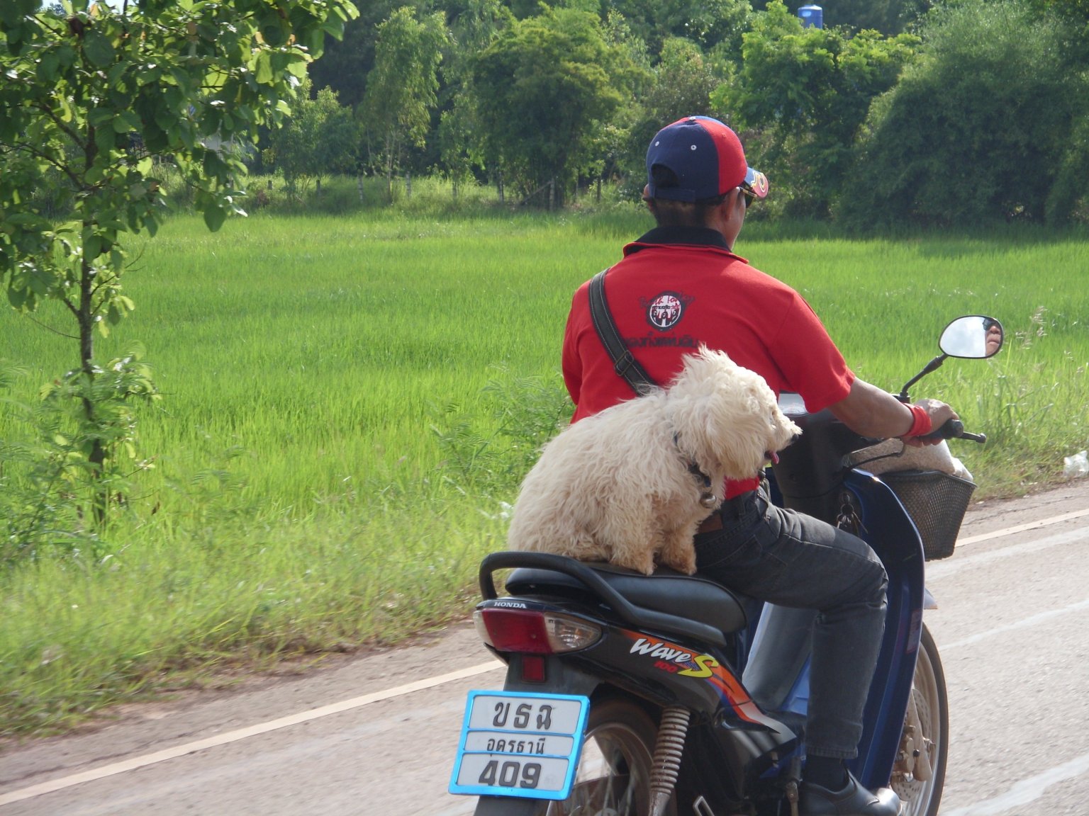 1907379249_abdogridebike.thumb.JPG.092e92118e5e0b5df202a9bb7fd64553.JPG