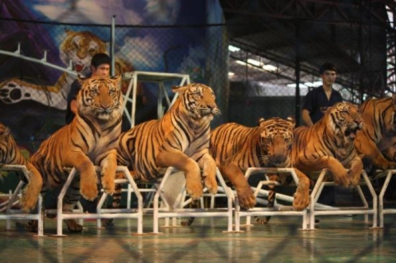 2006126ij34.jpg