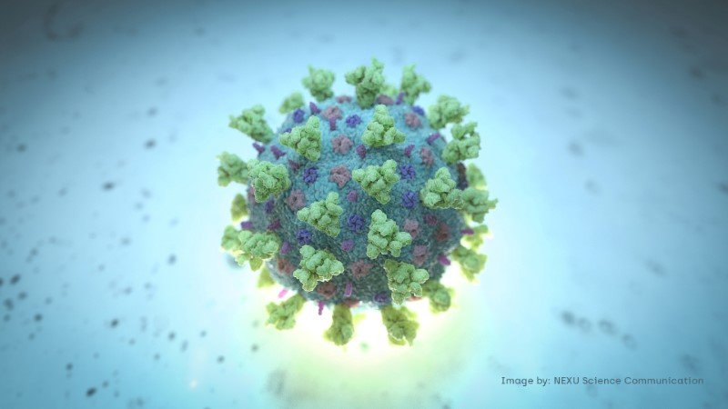 2020-06-09T070150Z_2_LYNXMPEG580F2_RTROPTP_3_HEALTH-CORONAVIRUS-STATES-REVENUE.JPG