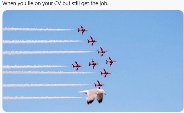 CV_lies.jpg.4fd65ac2a00c608cf6b98126934840b1.jpg