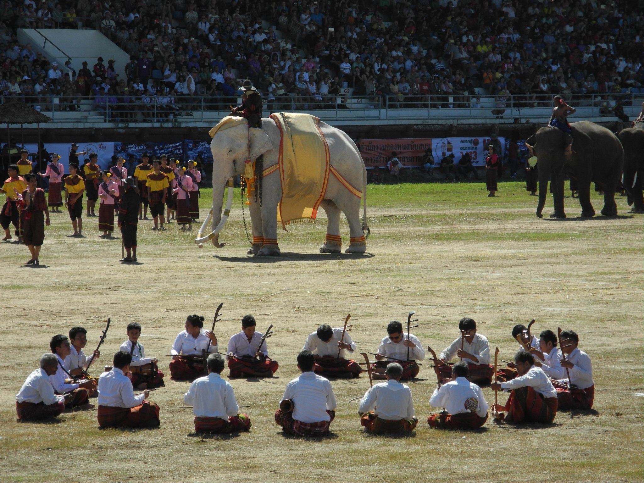 DSCN8425.JPG