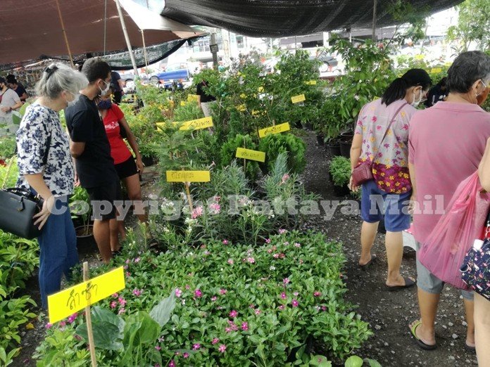 ENG-N-Jun-07-01-Pattaya-plants-market-lively-after-lockdown-ease-pic-1.jpg
