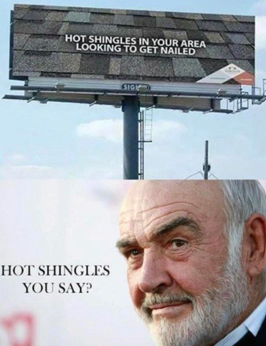 HotSHingles.jpg.d00576946d52f0f4c965d504b8c6886c.jpg