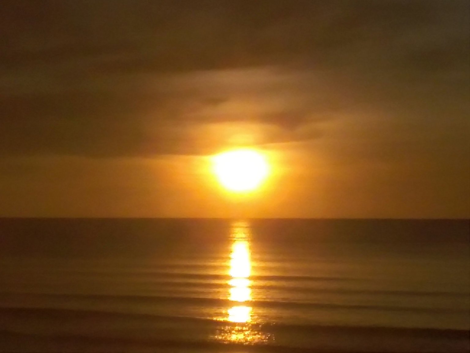 IMG_20200613_060414.jpg