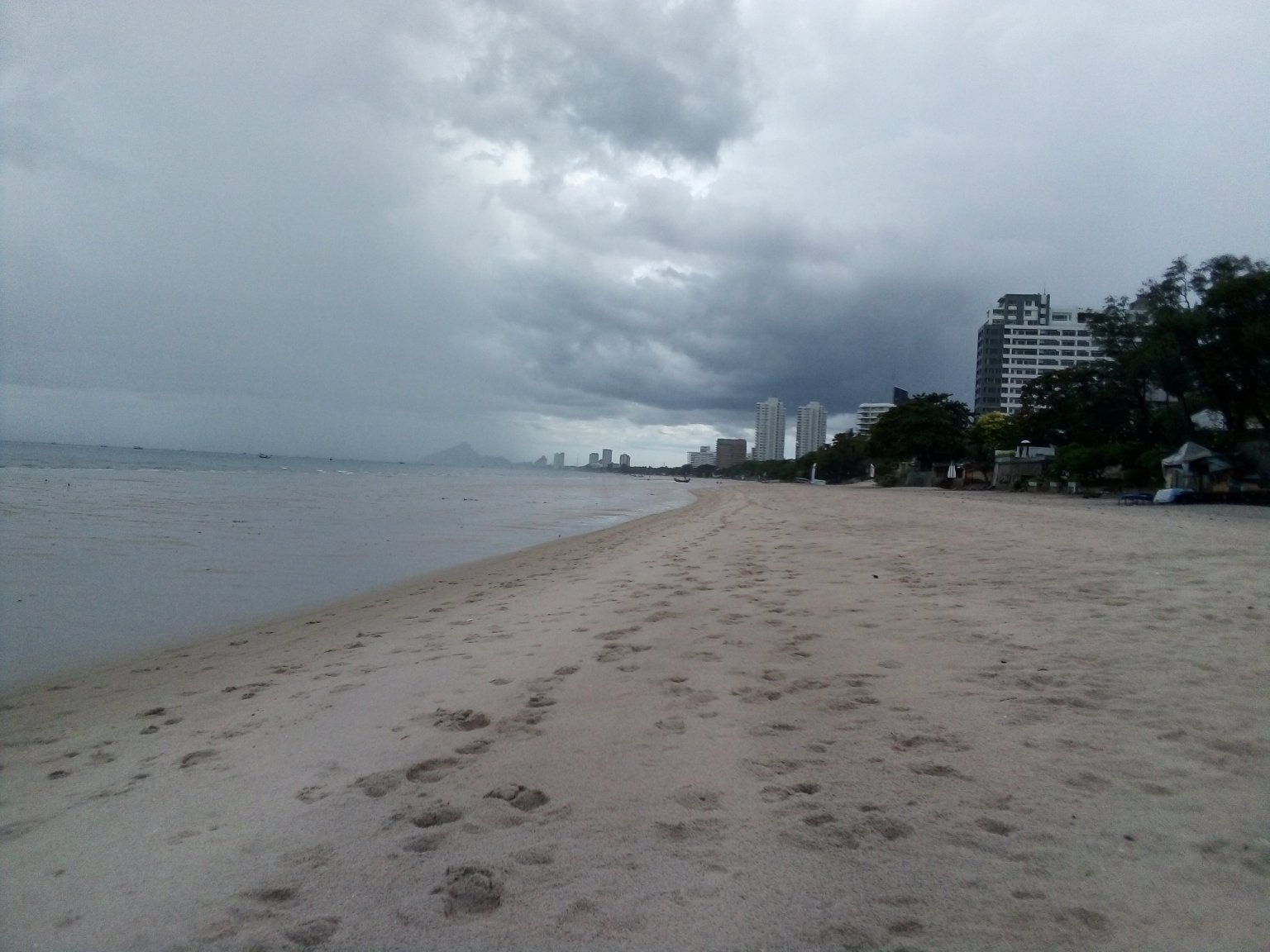 IMG_20200614_153148.jpg