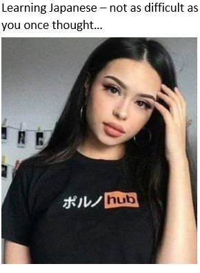 LearningJapanese.jpg.beef3dda9ff29ebac52def18341056e4.jpg