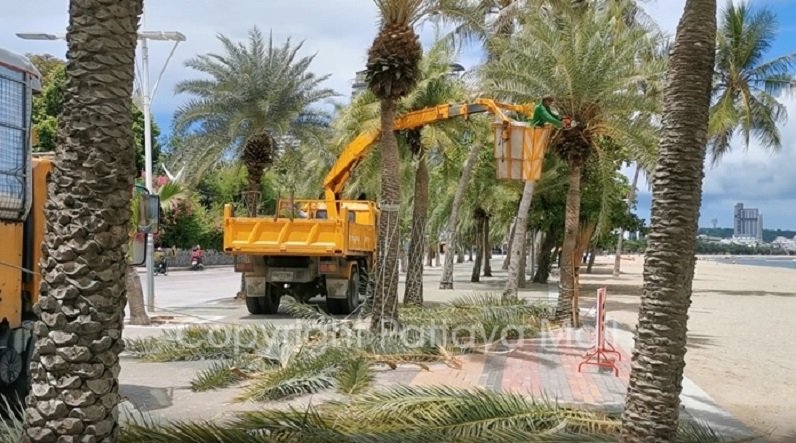 N-Jun-01-11-City-beautifies-beaches-for-tourists-to-visit.jpg
